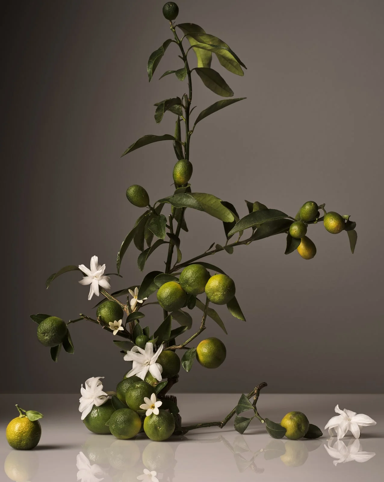 Candle - Image 11