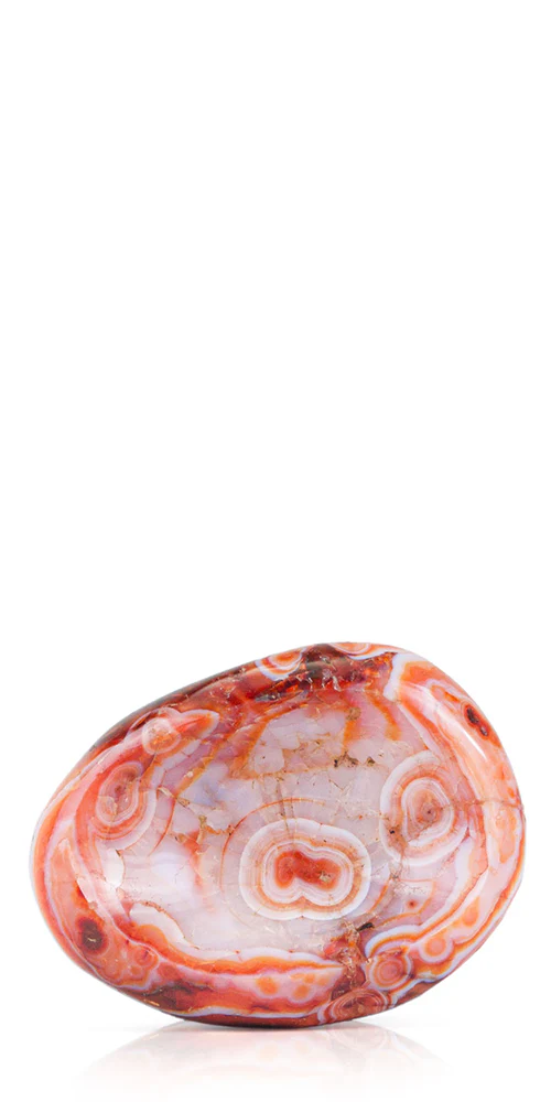 Cecilia Catch-All - Image 6