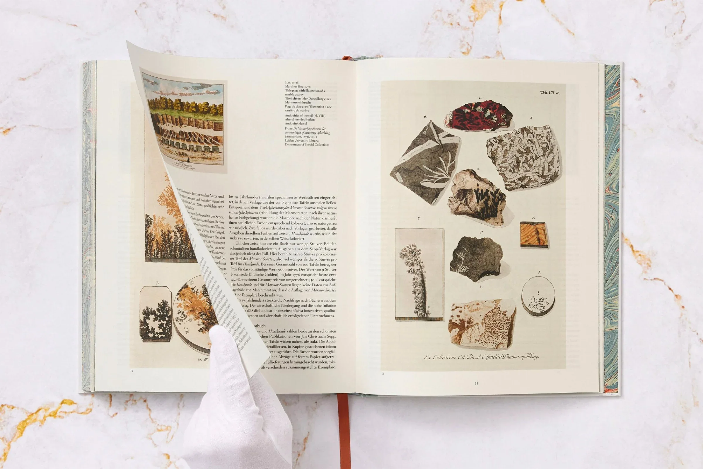 Jan Christiaan Sepp. The Book of Marble - Image 2