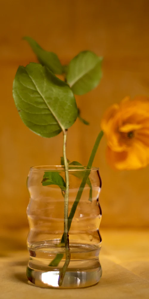 Jumbo Ripple Cup Clear - Image 3