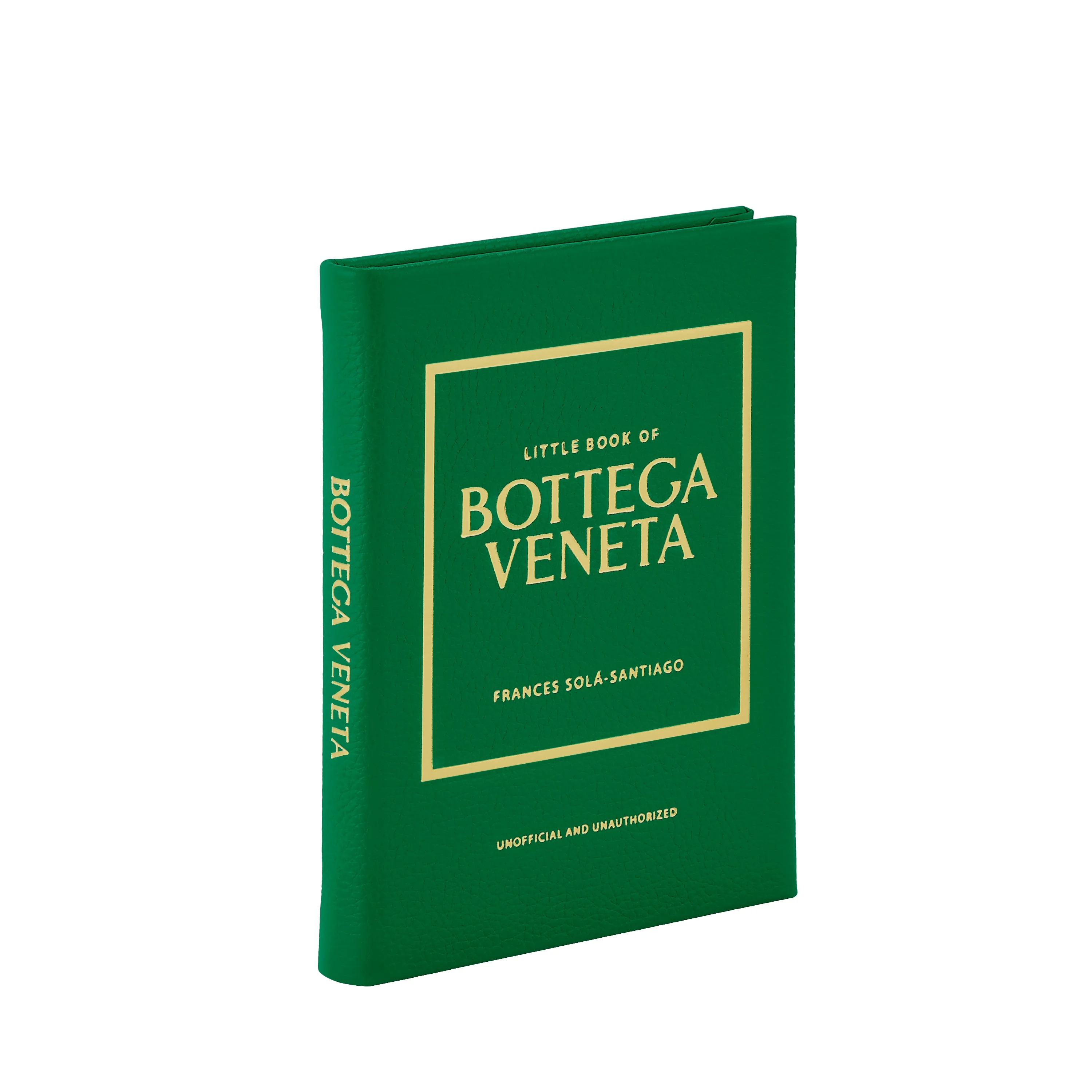 Little Book of Bottega Veneta - Image 3