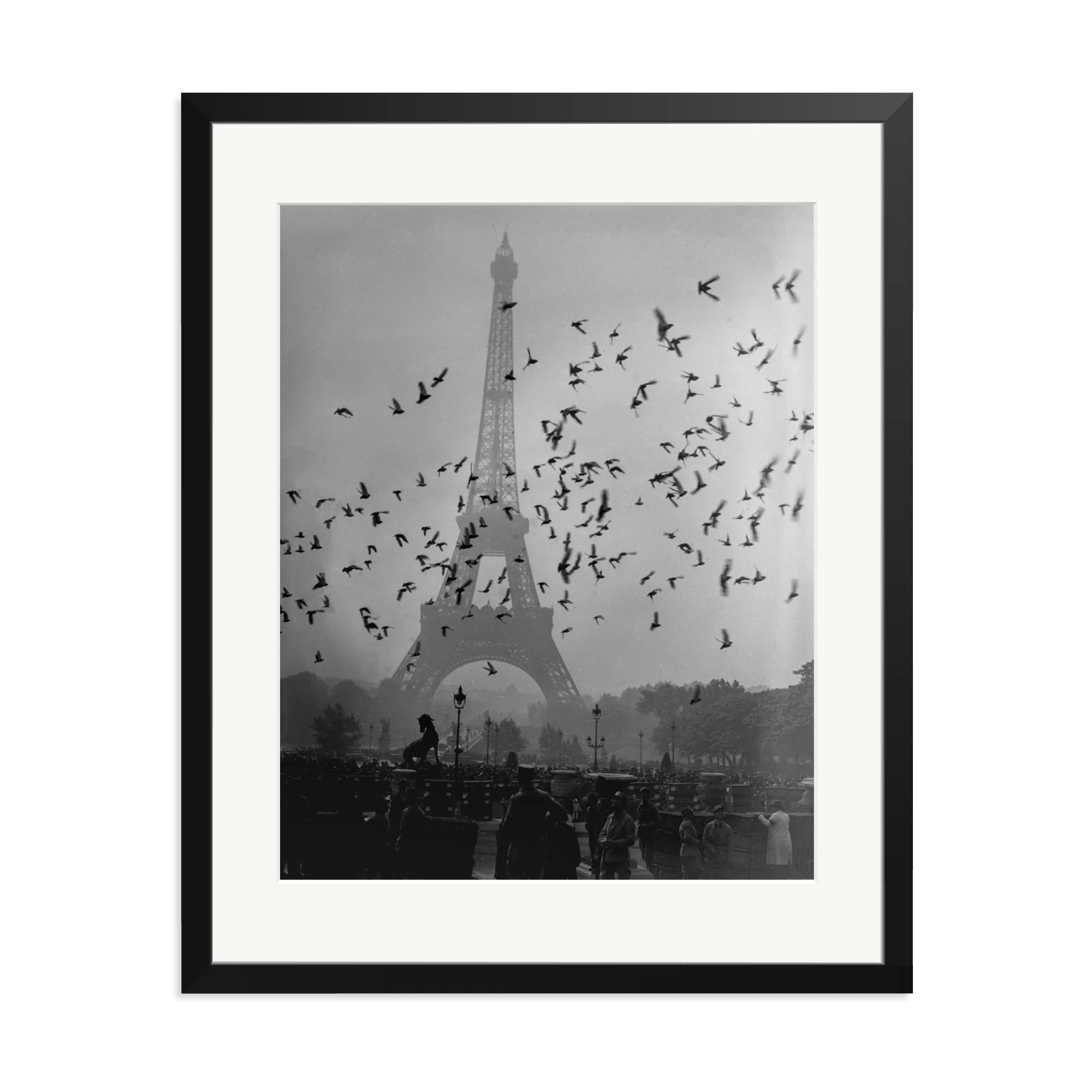 Taking Flight - Image 11