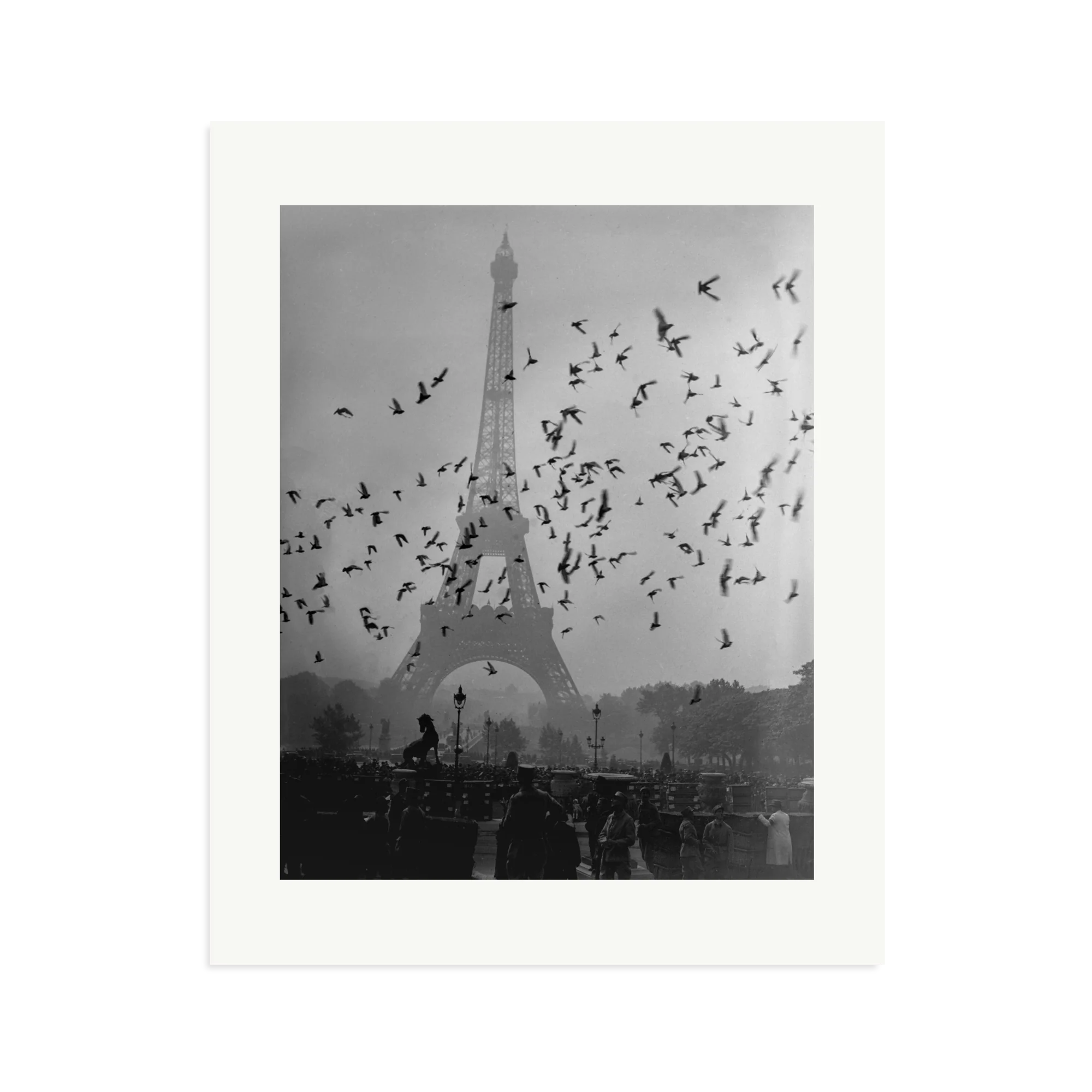 Taking Flight - Image 16
