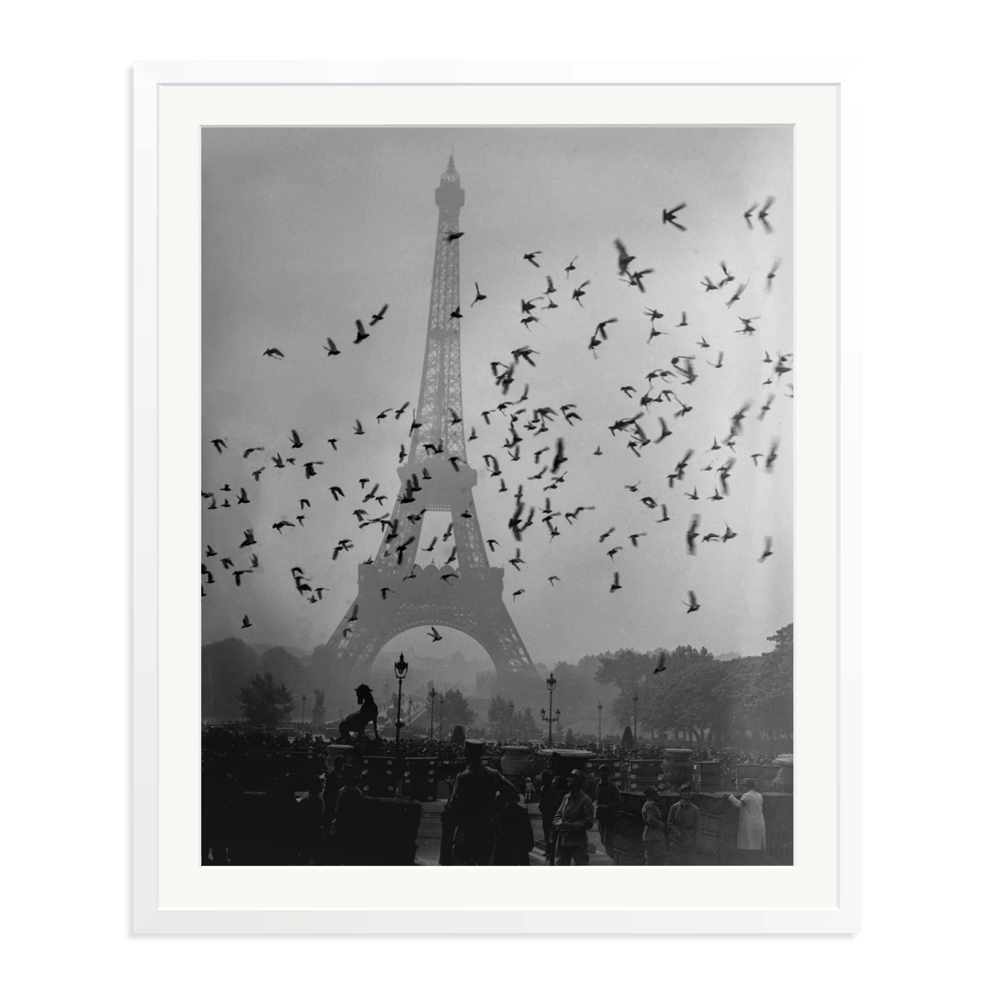 Taking Flight - Image 7