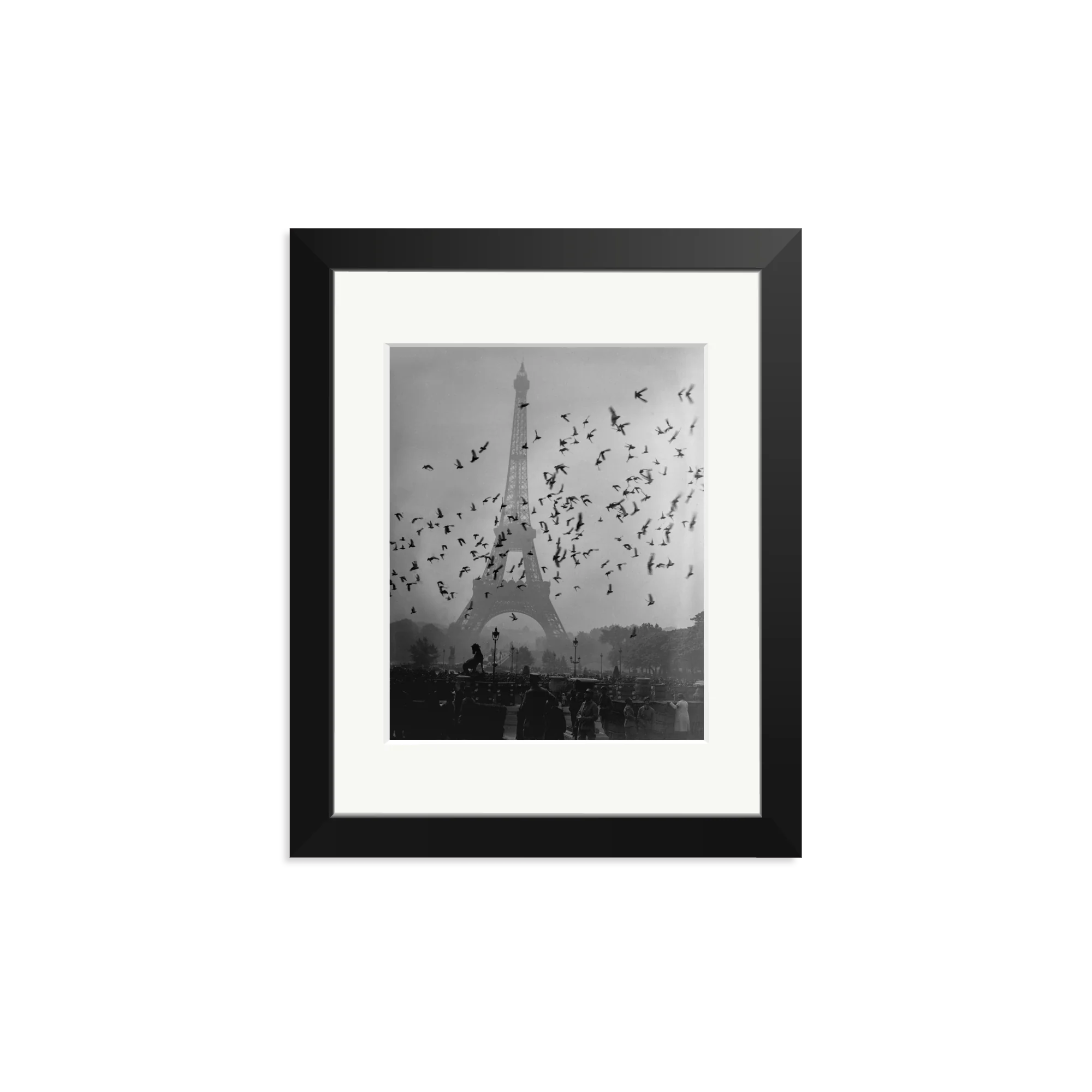 Taking Flight - Image 8