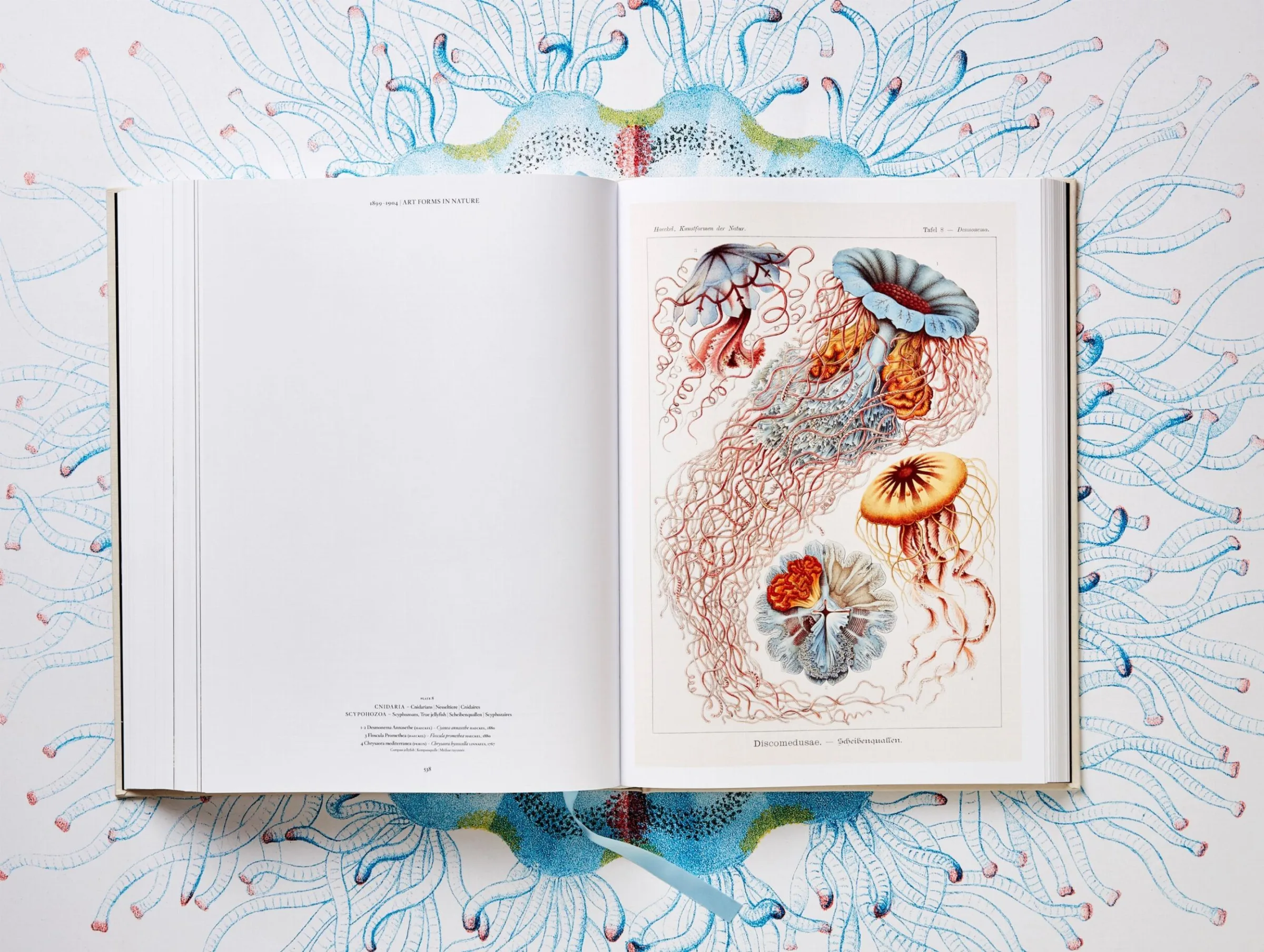The Art and Science of Ernst Haeckel - Image 12