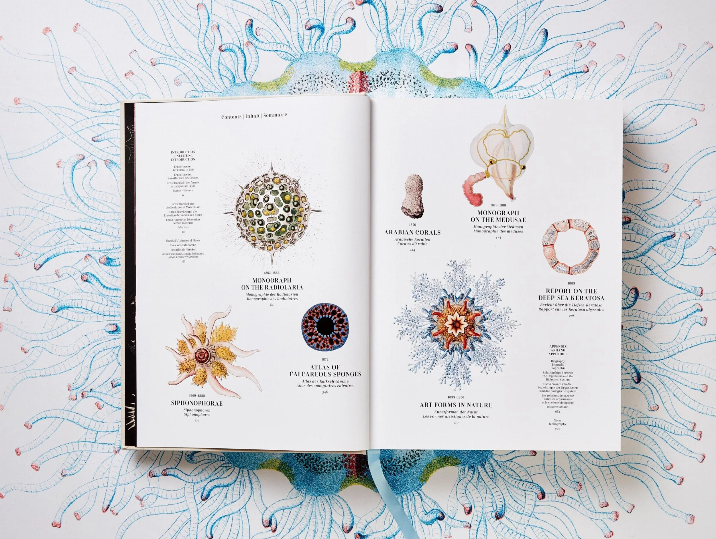 The Art and Science of Ernst Haeckel - Image 2