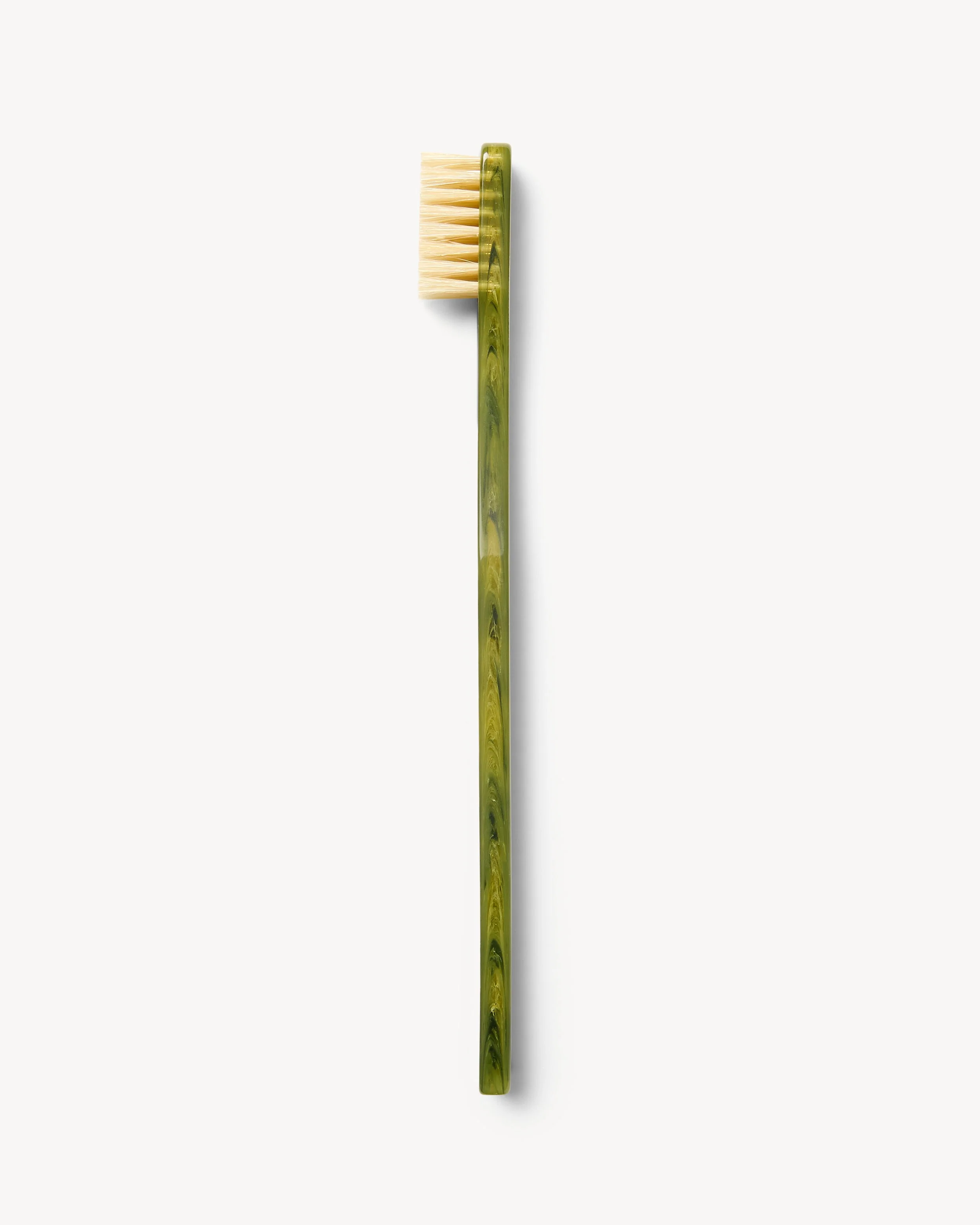 Toothbrush Algae - Image 3
