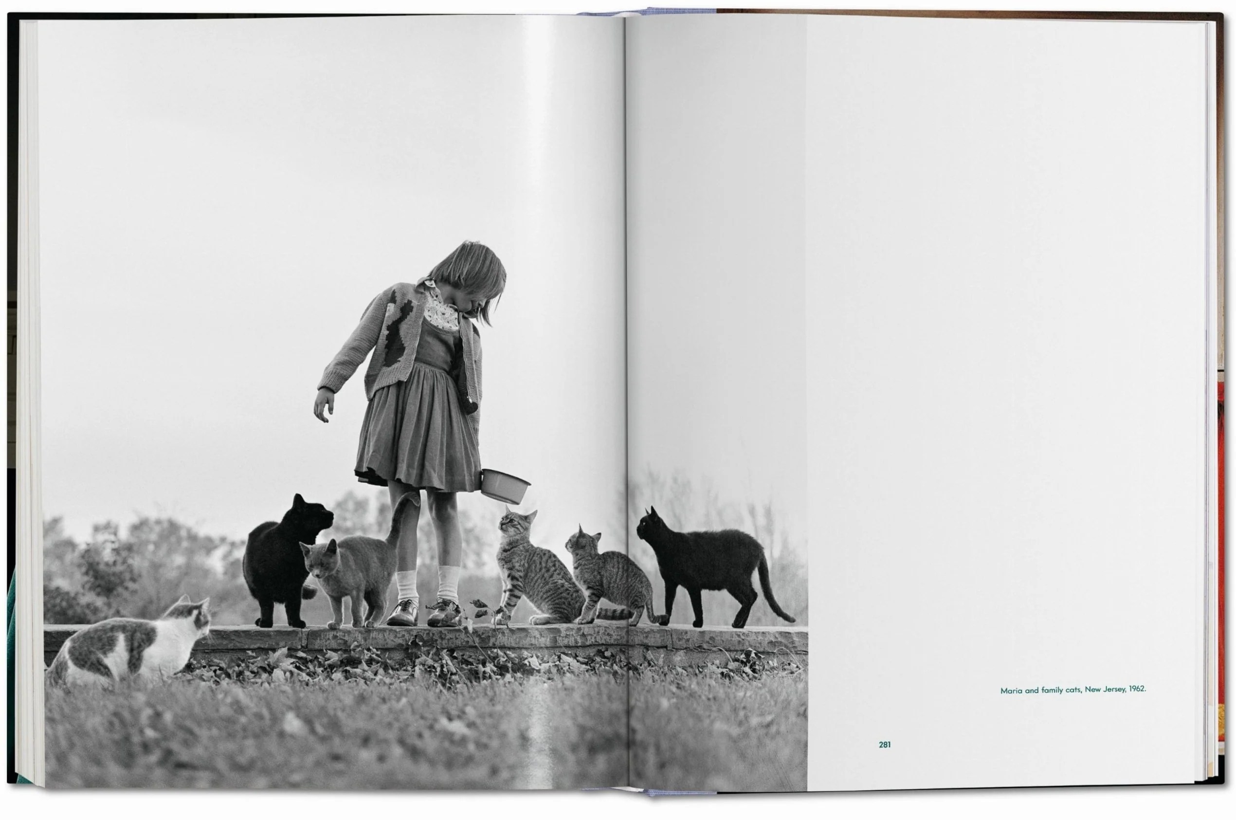 Walter Chandoha. Cats. Photographs 1942–2018 - Image 14