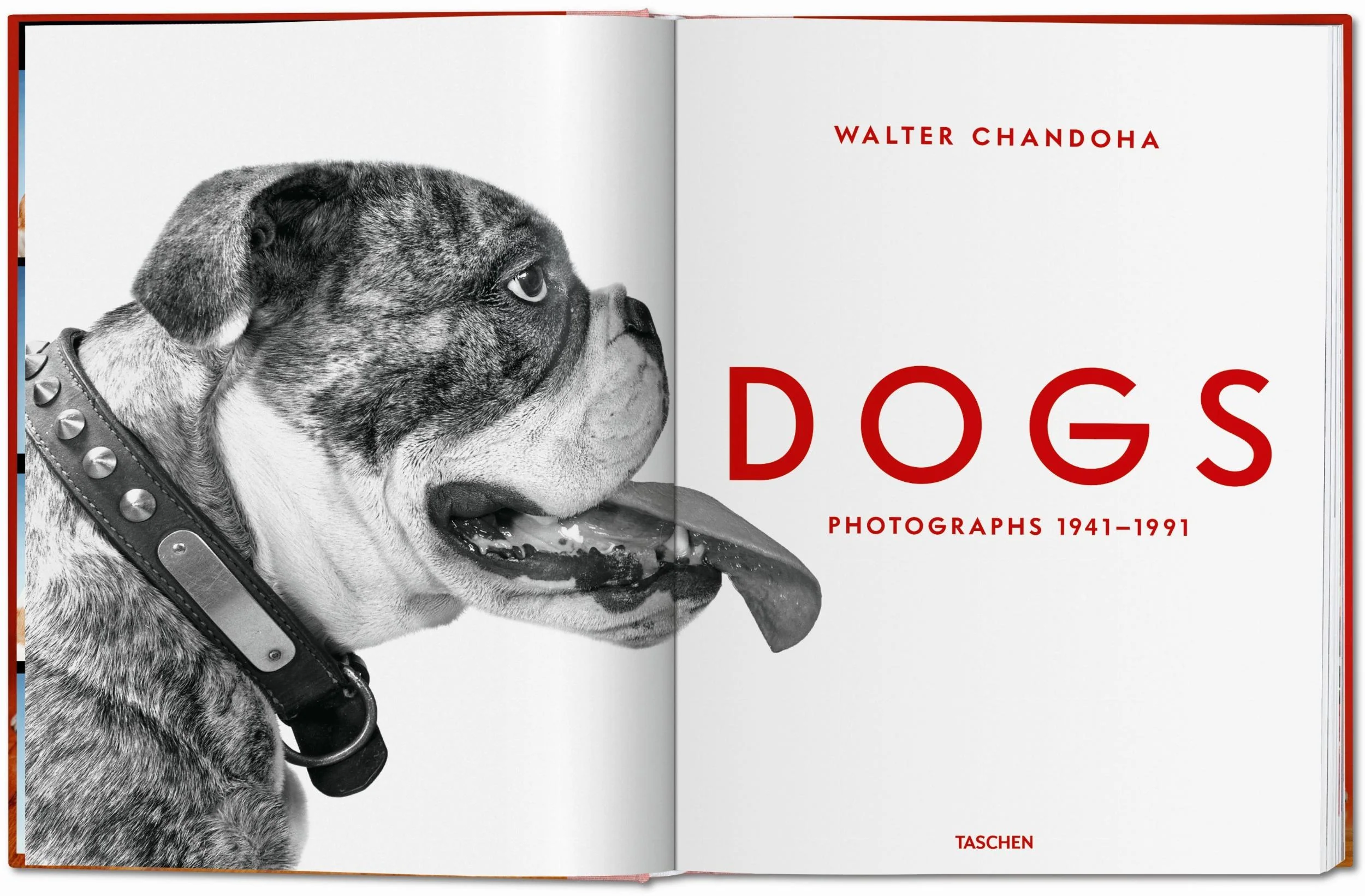 Walter Chandoha. Dogs. Photographs 1941–1991 - Image 2
